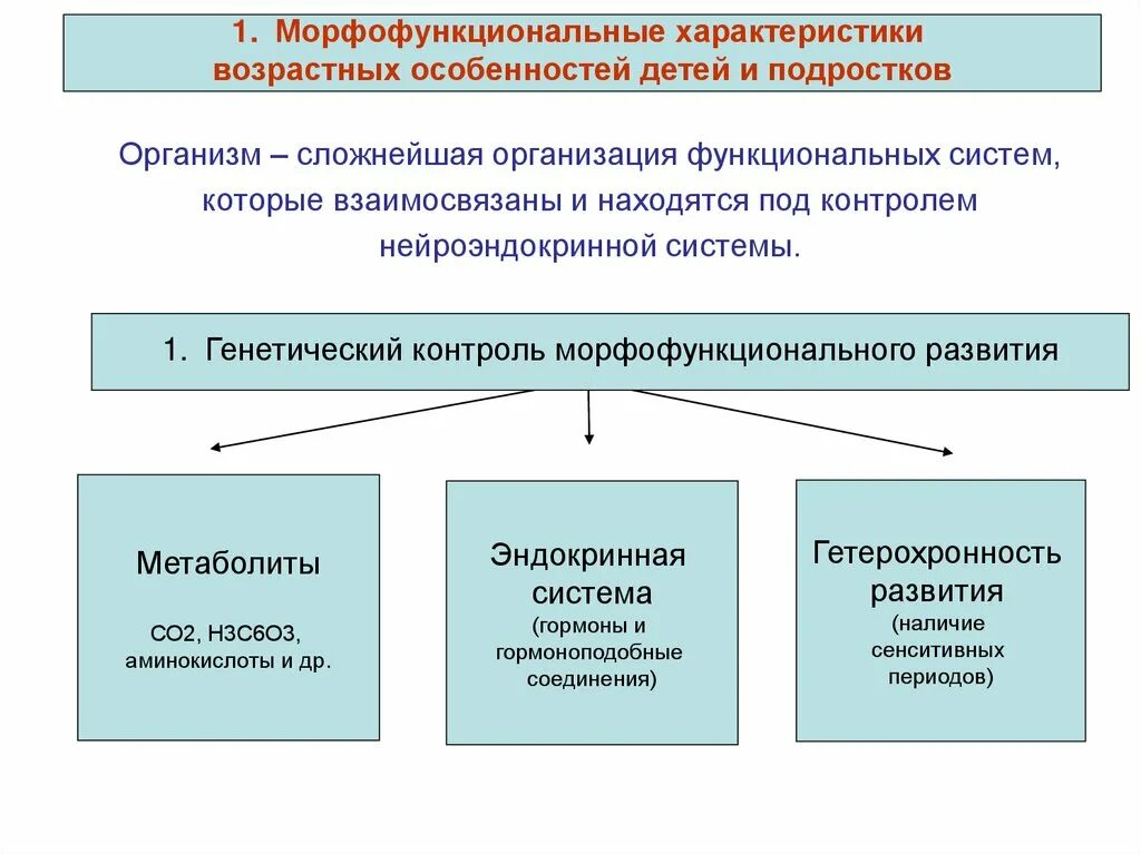 Изменения в организме подростков. Морфофункциональные и возрастные особенности. Морфофункциональные особенности детей. Морфофункциональные особенности организма. Возрастные морфофункциональные, особенности детского организма.