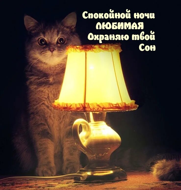 Есть кому охранять. Есть кому охранять