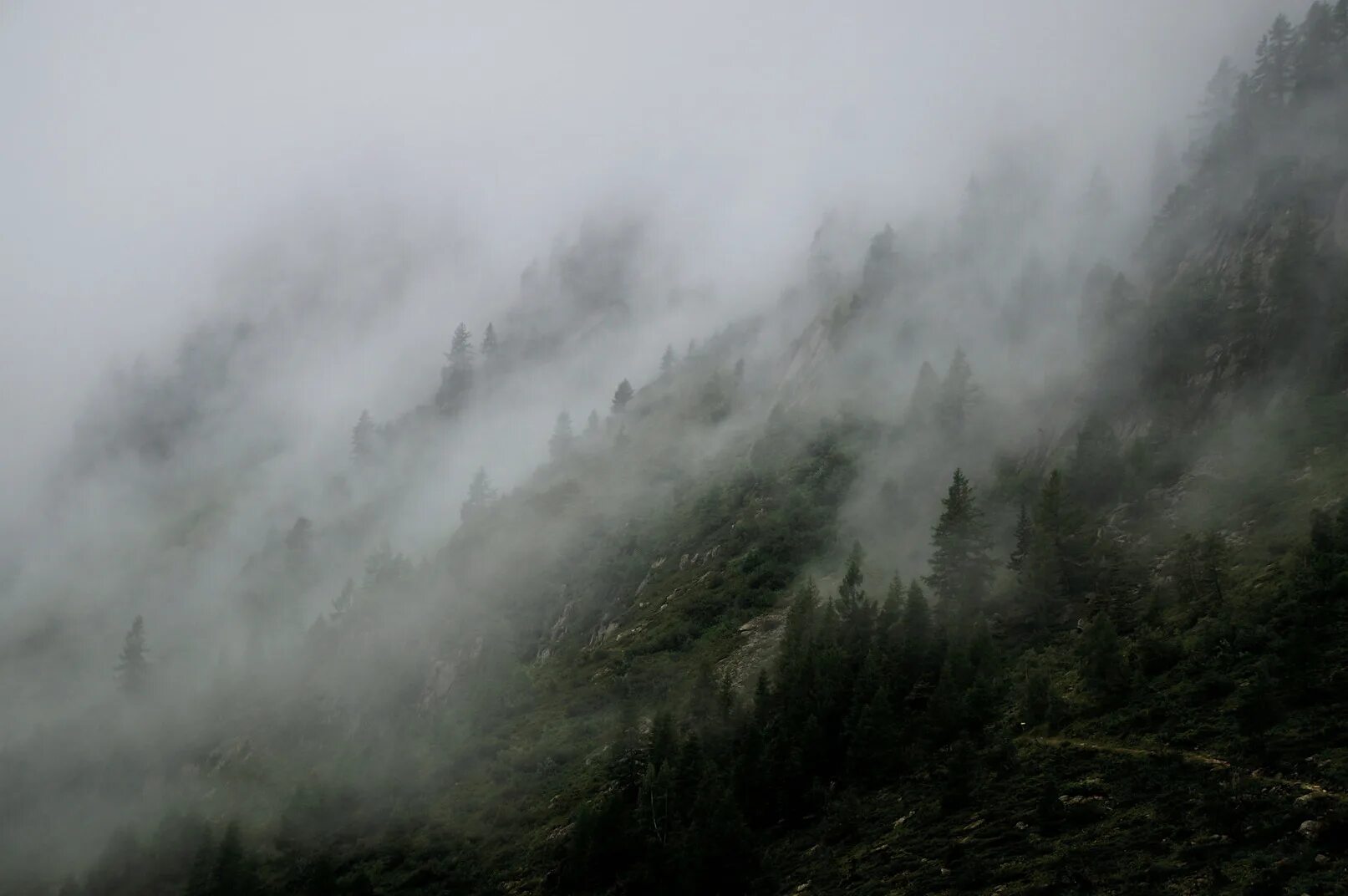Сизая пелена. Туманный лес Анды горы. Туман. Горы в тумане. Туманный пейзаж.