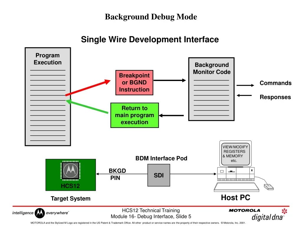 System debug. Отладочный Интерфейс что это. Background debug Mode. Background debug пароль. Hcs12 BDM description.