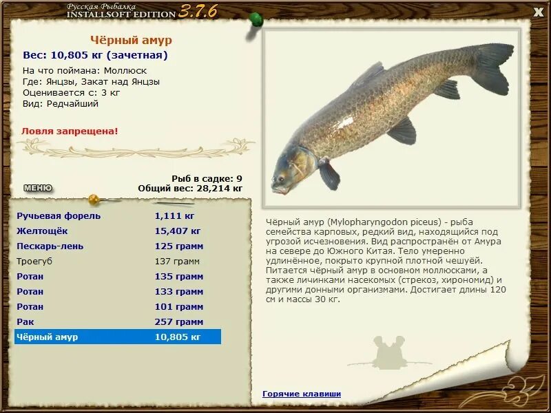 желтощек реальная рыбалка