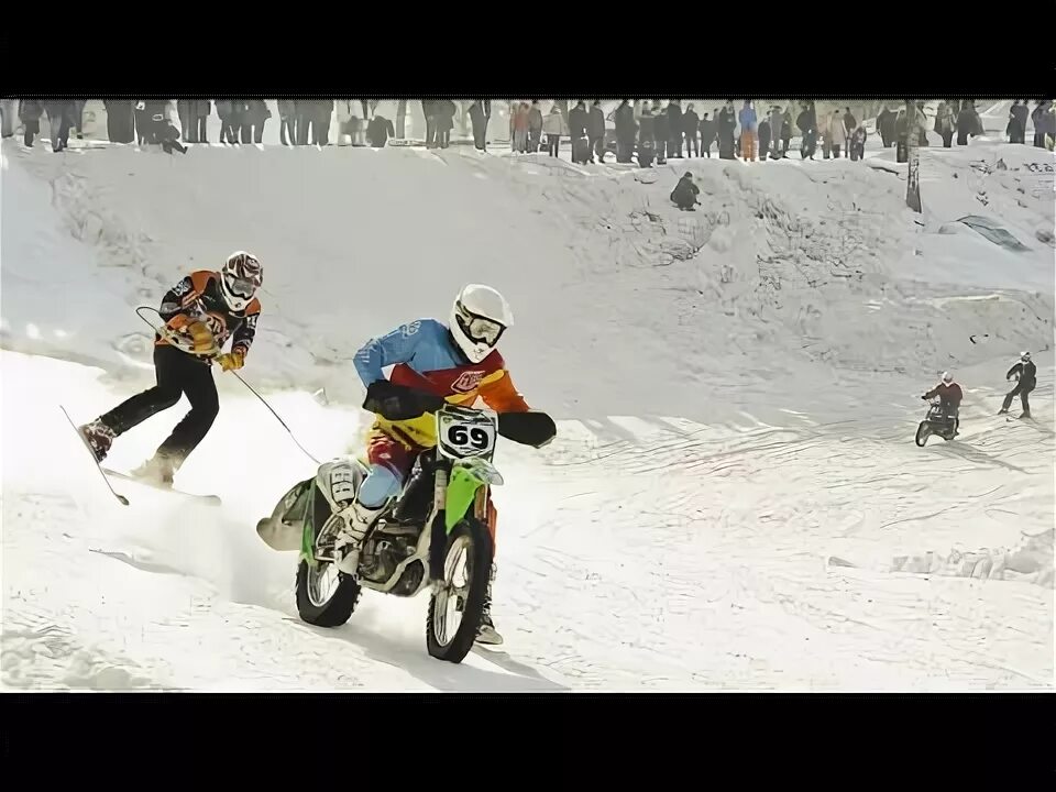Скийоринг на мотоциклах. Лошадь на лыжах фото. Скиджоринг хаски. Skijoring is a winter sport where. Скиджоринг хаски.