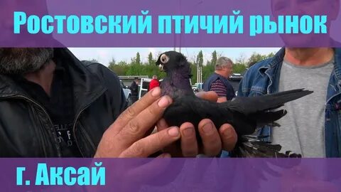 Голуби ленинградская