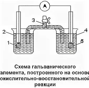 В гальваническом элементе процесс окисления протекает