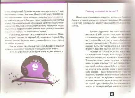 Казиник буравчик