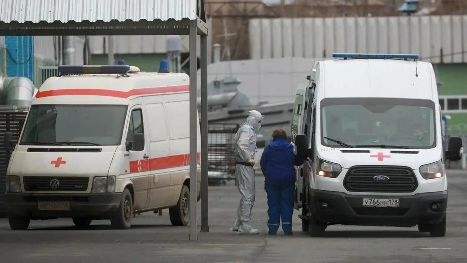 В петербурге выросло число. В петербурге выросло число