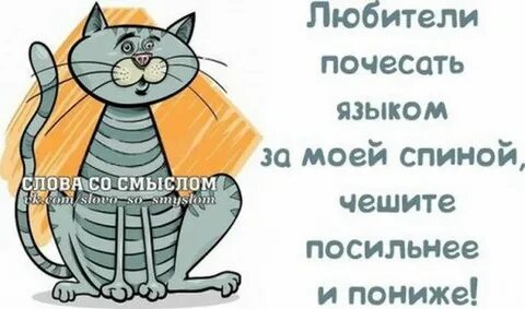 Слова со слова спина