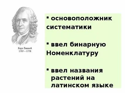 Какой ученый является основоположником систематики