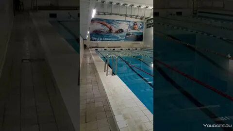 Донецком бассейне