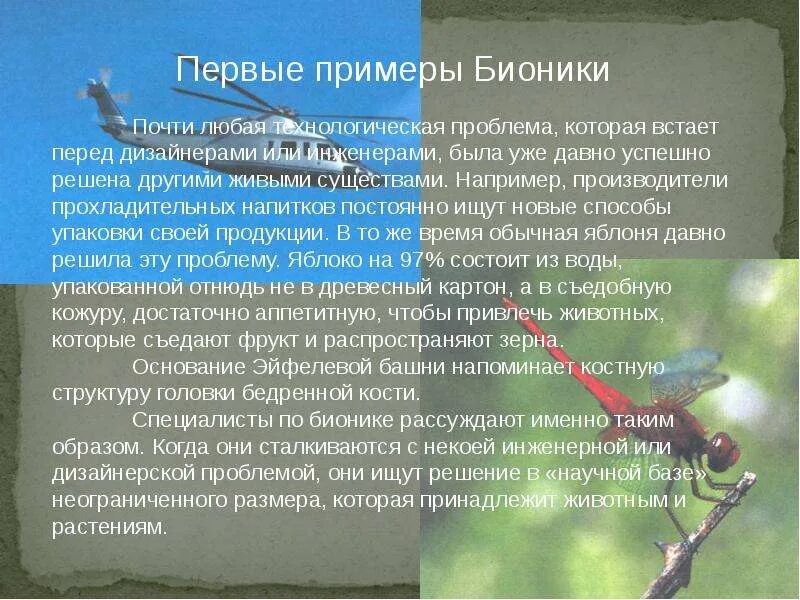 Примеры бионики в биологии. Бионика примеры. применение бионики в технике. примеры бионики в жизни человека. бионика примеры изобретений.
