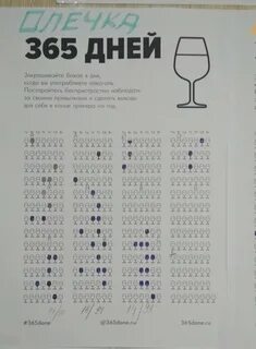 365 дней 2022