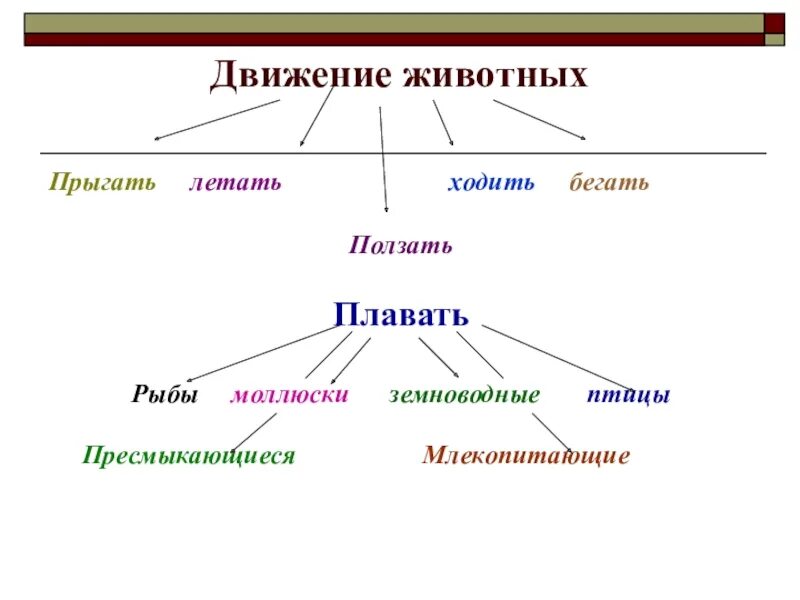 Типы передвижения. Способы движения животных. типы передвижения животных. назовите способы передвижения животных. органы движения животных.