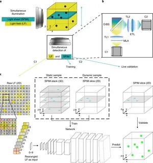 Nature Methods - A deep learning–based algorithm enables efficient reconstr...