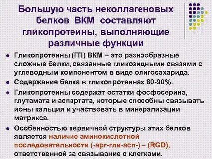 Белки костной ткани