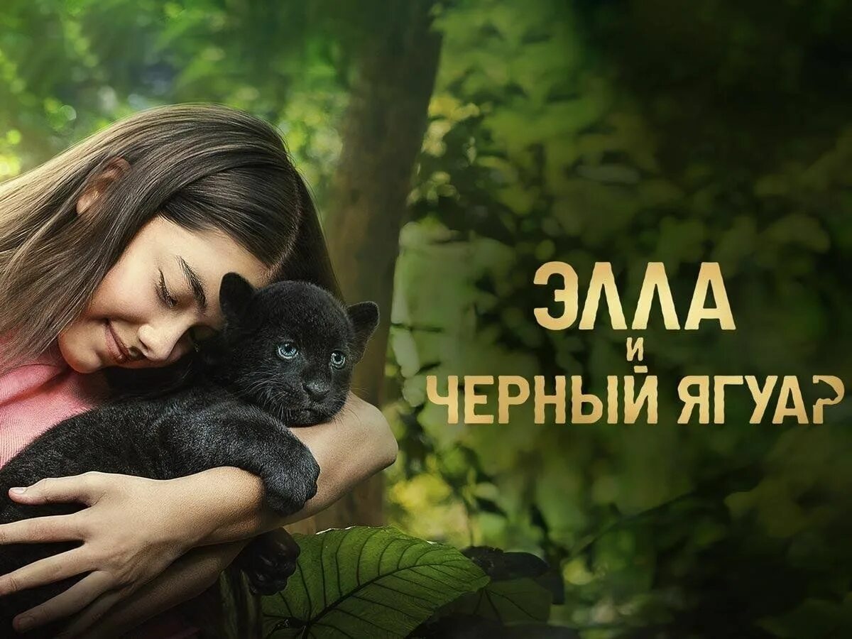 Черный ягуар 2024. Черный ягуар 2024. Jaguar 2024 photo. Черный ягуар 2024. Черный ягуар 2024.
