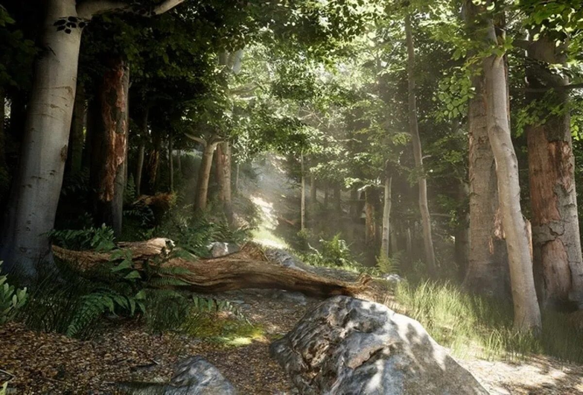 Lands Unknown - Exploring the Forest - YouTube