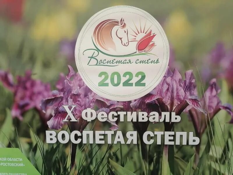 Воспетая степь 2024 фестиваль в ростовской области