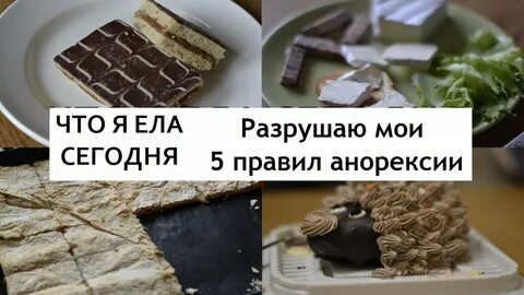 Чего сегодня ела