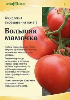 Описание фото отзывы томата большая мамочка