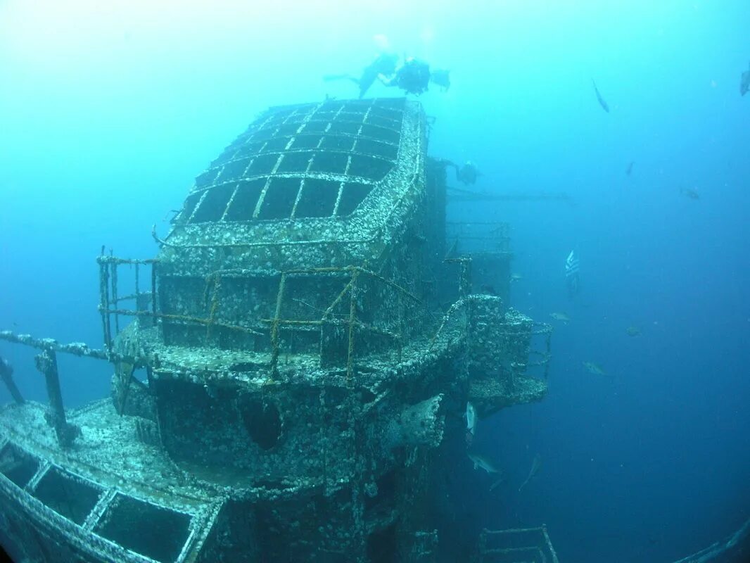 Затонувшие корабли на дне моря. Корабль USS Oriskany, Флорида. USS Oriskany на дне. Посейдон корабль затонул. Орискани авианосец под водой.