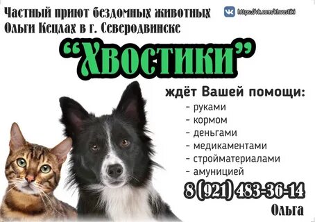 Приют хвосты