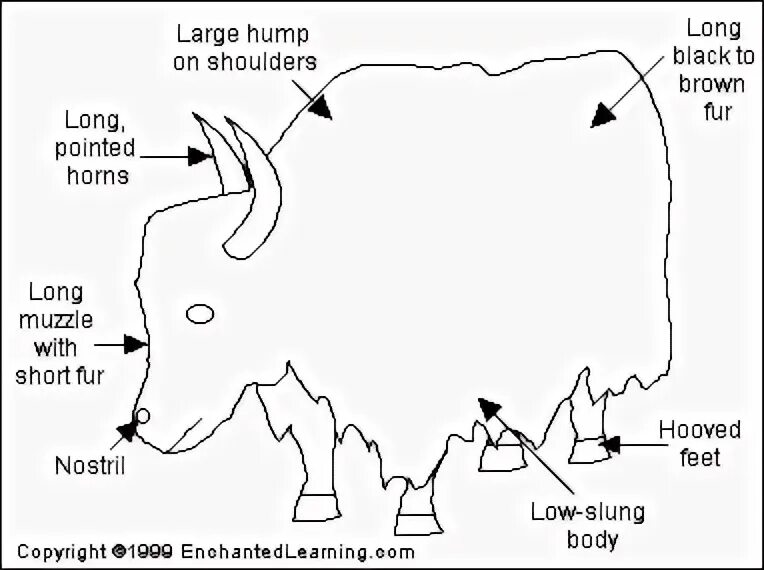 Large long. Платье из шифона с длинным рукавом. Long looms. Порода афганская борзая овчарка. Афганская борзая длинношерстная.