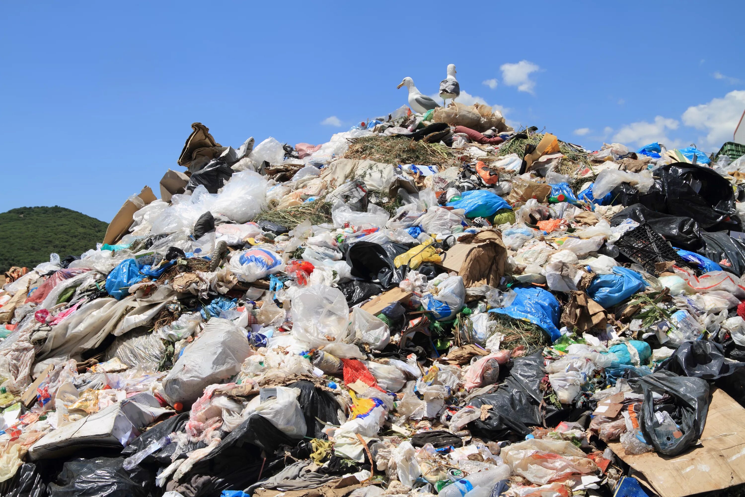 Garbage wastes