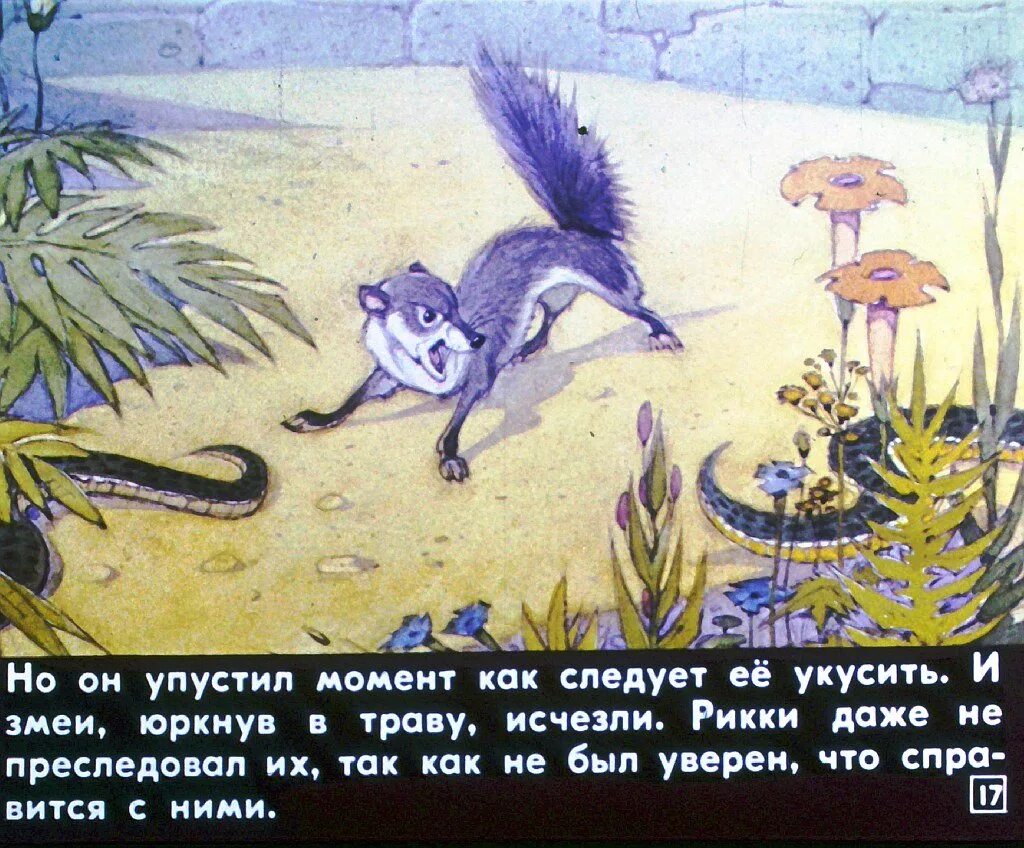 Киплинг рикки тикки тави краткое содержание. Киплинг рикки тикки тави краткое содержание