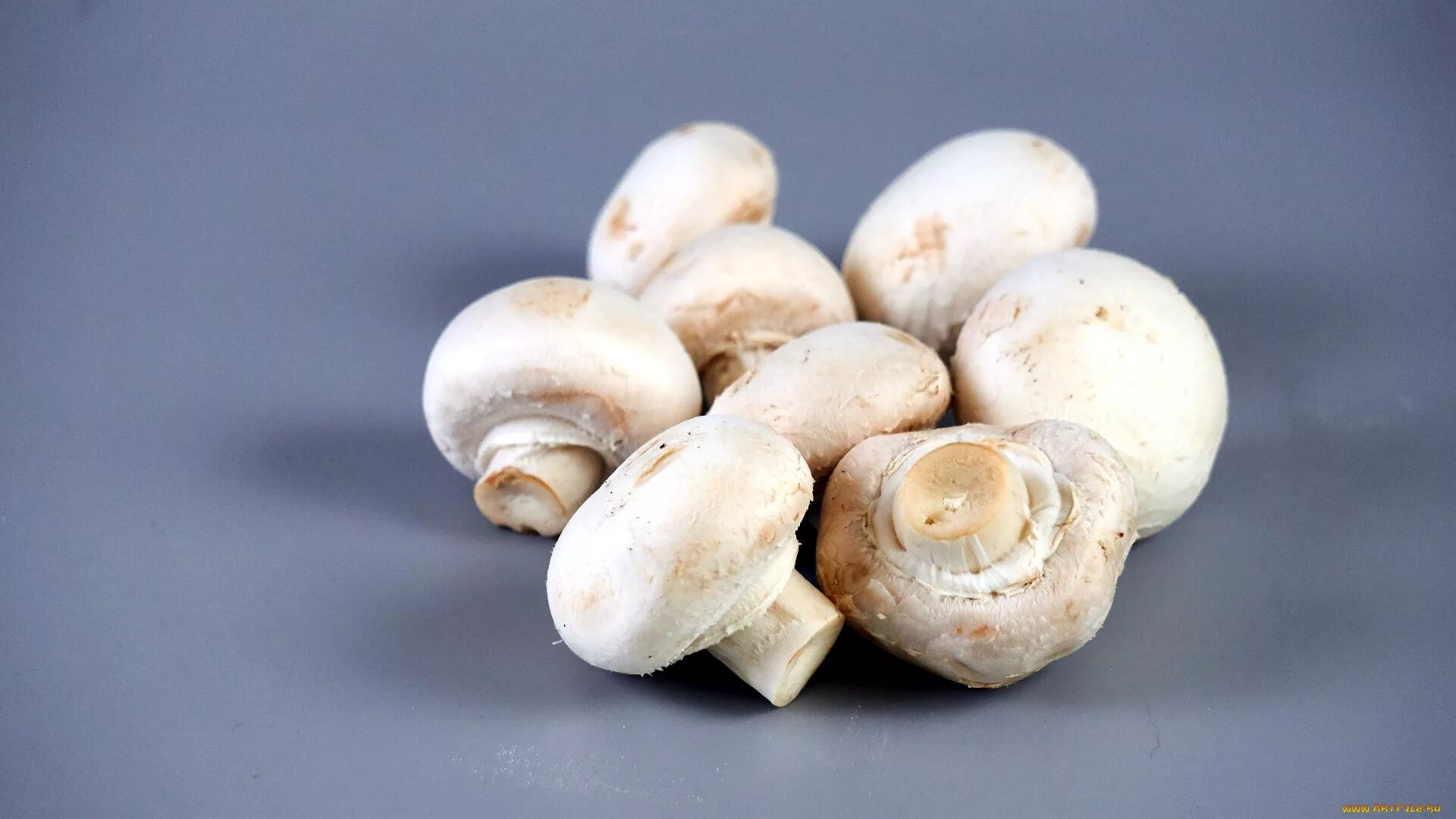 White mushrooms. White mushrooms. Белые опята. Грибы на столе. White mushrooms.