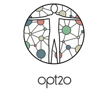 2 opt
