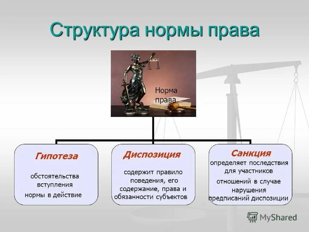 Что такое гипотеза диспозиция и санкция правовой нормы. Структура правовой нормы примеры.