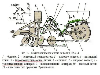 Сая 4