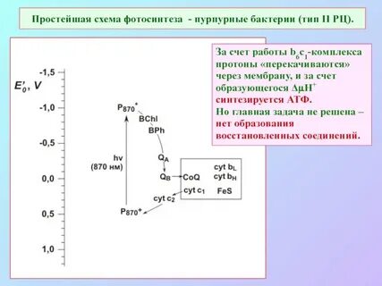 Z схема