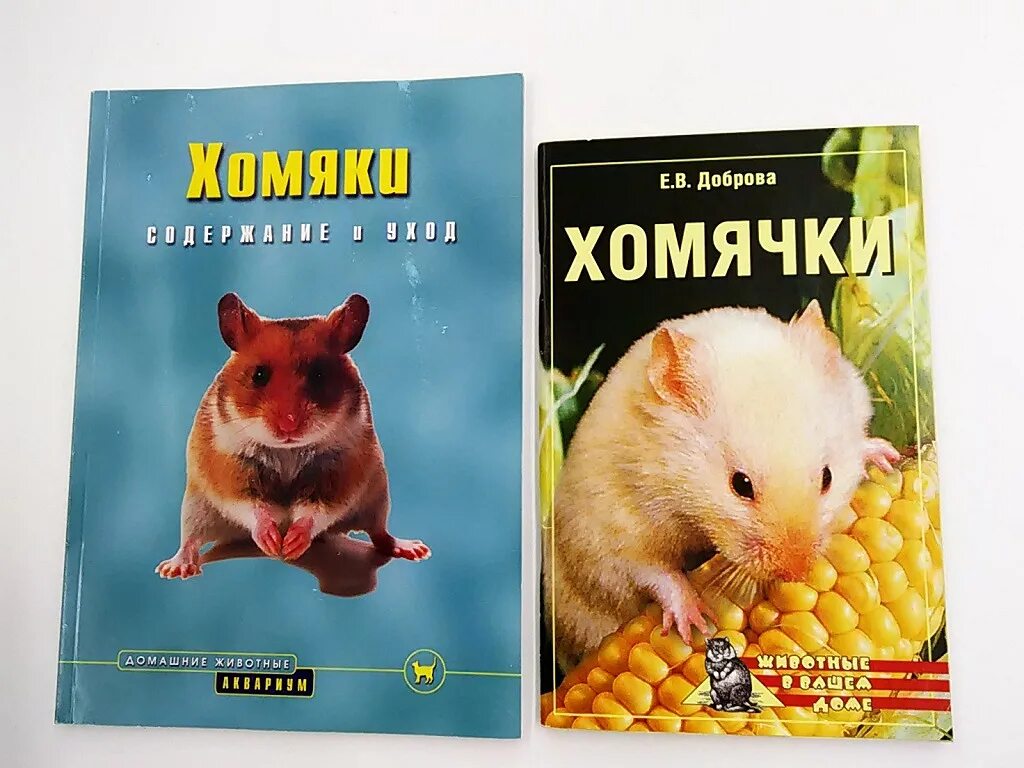 Книга хомячки. Книга про хомячка. Книжки про хомяков. Энциклопедия про хомяков. Книжки для детей про хомяков.