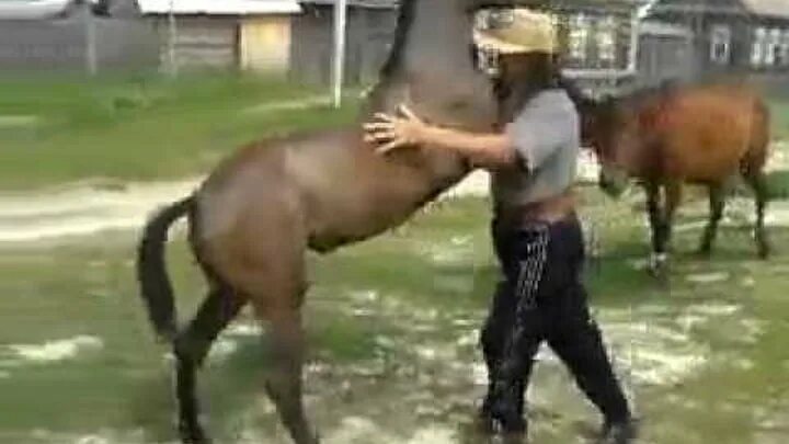 Конь мужик баб. Сношения лошадей с людьми. Мужик выебал лошадь жеребца. Засадил лошади. Лошадь засадил девушке.