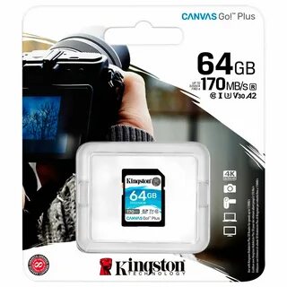 Kingston canvas go