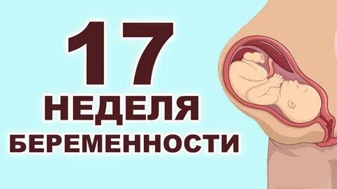 Шевеление плода на 17