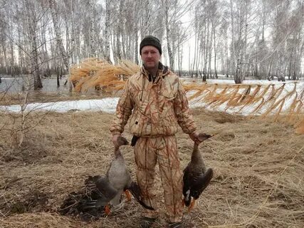 Лет гуся весной