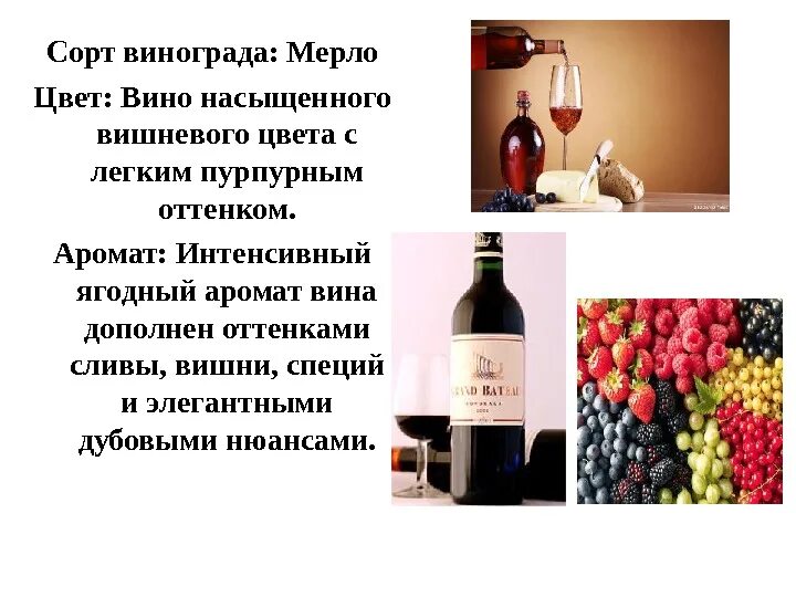Красное вино сорта. Вино из сорта винограда Мерло. Вино из винограда сорта. Сорта красных вин.