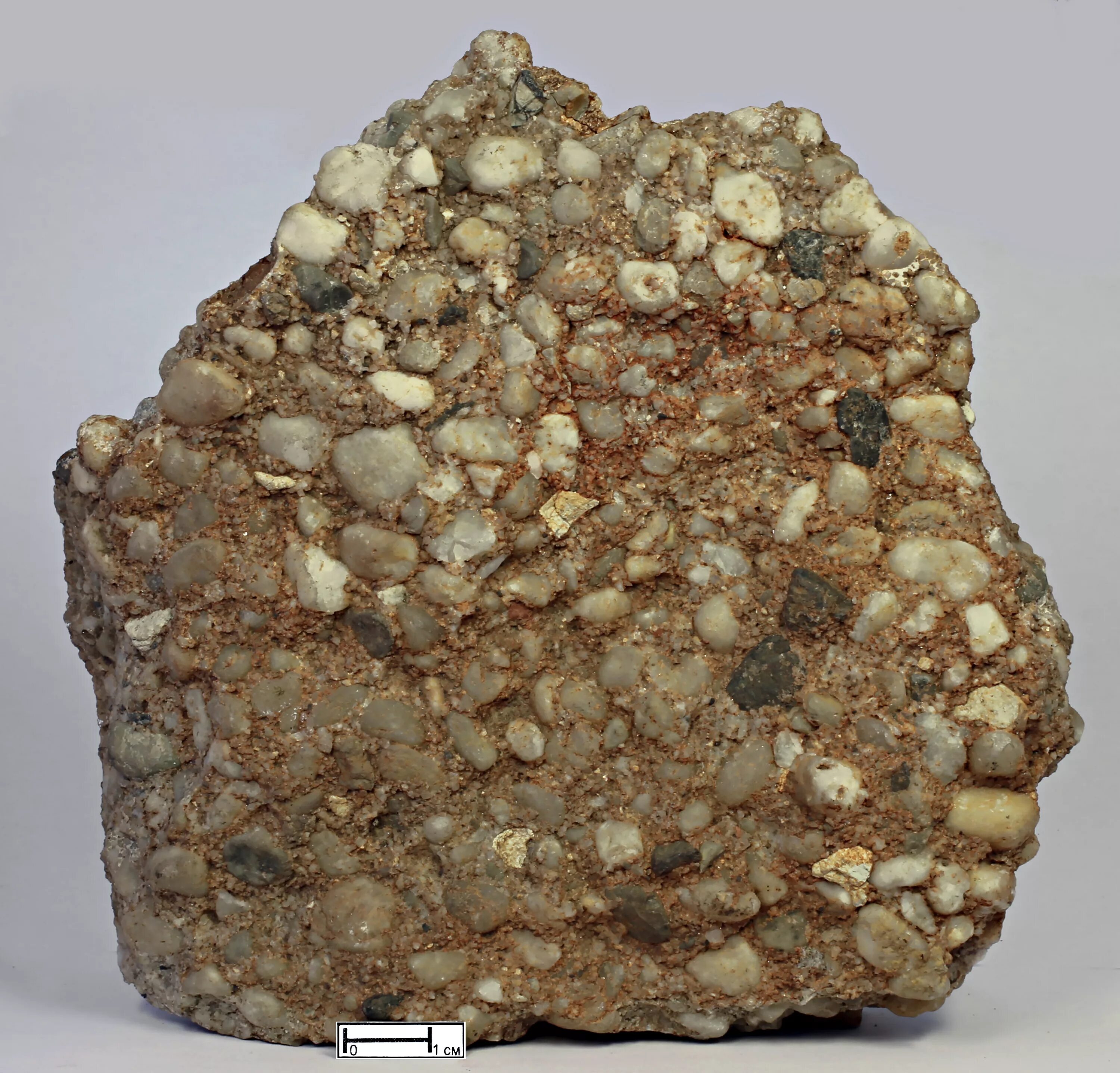 Конгломераты геология. Камень конгломерат брекчия. Камень конгломерат брекчия. Конгломерат что это такое. Конгломерат что это такое.