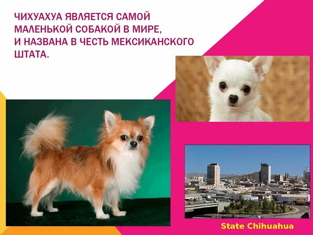 Что является самым интересным