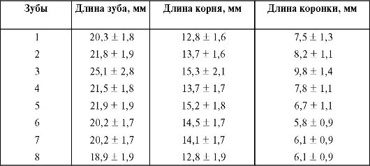 Длина корневых каналов. Длина корневых каналов таблица. Ждина корневых каналов таблица. Каналы верхней 6