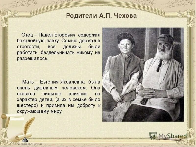 Как зовут а п чехова. Семья а п Чехова. А П Чехов родители. Отец Антона Павловича Чехова биография.