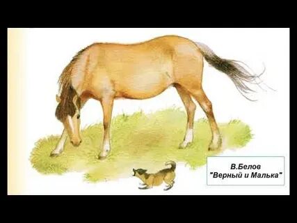 Верный и малька