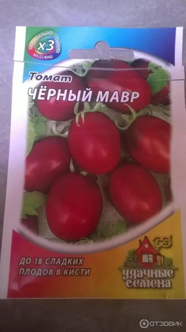 Томат мавр описание. Черный мавр черри. сорт томатов черный мавр. чёрные помидоры сорта чёрный мавр.