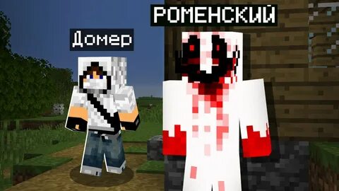 Скин домера