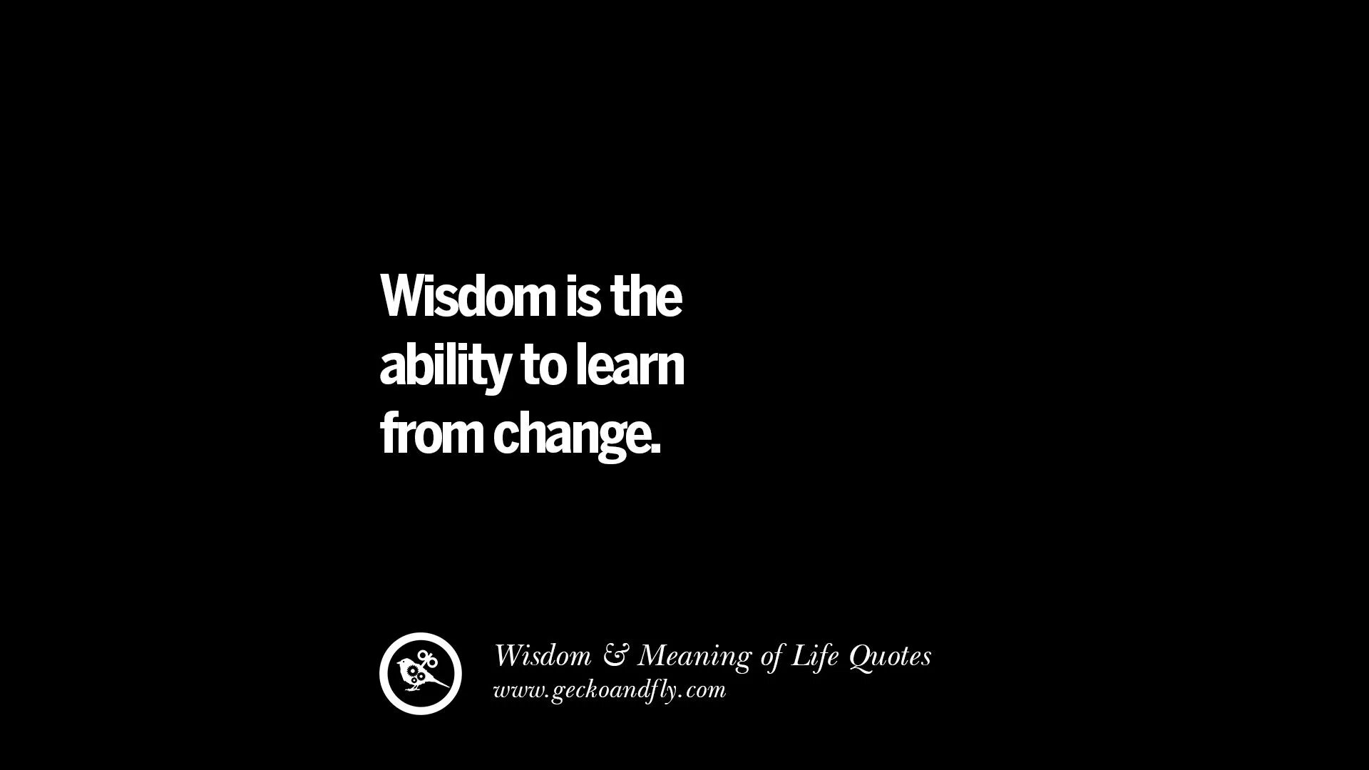 Make a wise life как собрать. Quotes about wisdom. wise quotes актриса. wisdom sayings and quotes. quote of wisdom writers.