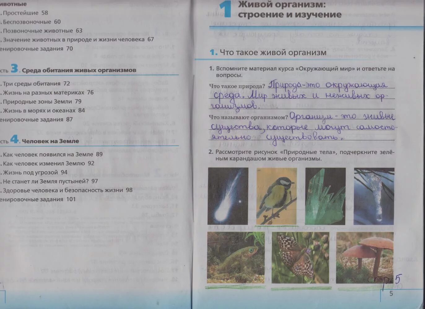 Биология 5 класс стр 21 ответы. Биология 5 класс Плешаков Сонин. Биология 5 класс рабочая тетрадь Сивоглазов Плешаков. Учебник по биологии 5 класс. Биология 5 класс задания.