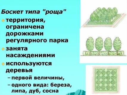 Тип рощ