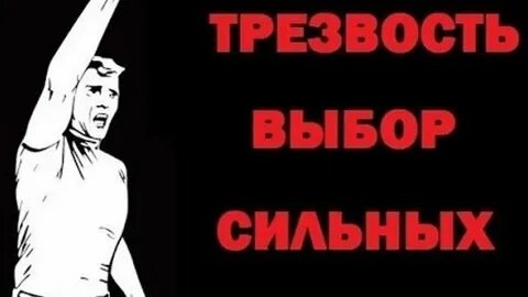 Трезвость выбор